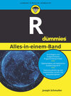 Buchcover R Alles-in-einem-Band für Dummies