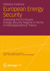 Buchcover European Energy Security