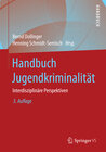 Buchcover Handbuch Jugendkriminalität