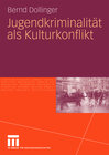 Buchcover Jugendkriminalität als Kulturkonflikt