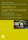Buchcover Handbuch Jugendkriminalität