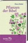 Buchcover Pflanzen der Bibel