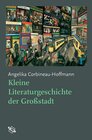 Buchcover Kleine Literaturgeschichte der Großstadt