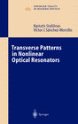 Buchcover Transverse Patterns in Nonlinear Optical Resonators