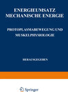 Buchcover Energieumsatz