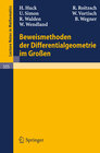 Buchcover Beweismethoden der Differentialgeometrie im Großen