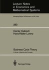 Buchcover Business Cycle Theory
