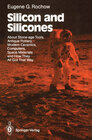 Buchcover Silicon and Silicones