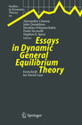 Buchcover Essays in Dynamic General Equilibrium Theory