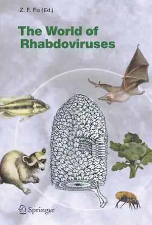 Buchcover ISBN 9783540240112