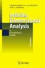 Buchcover Infinite Dimensional Analysis
