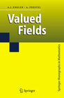 Buchcover Valued Fields