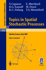 Buchcover Topics in Spatial Stochastic Processes