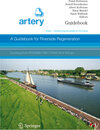 Buchcover A Guidebook for Riverside Regeneration