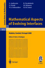 Buchcover Mathematical Aspects of Evolving Interfaces