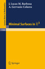 Buchcover Minimal Surfaces in R 3