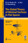 Buchcover The Global Theory of Minimal Surfaces in Flat Spaces