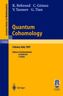 Buchcover Quantum Cohomology