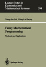 Buchcover Fuzzy Mathematical Programming