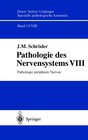 Buchcover Spezielle pathologische Anatomie. Ein Lehr- und Nachschlagewerk / Pathologie peripherer Nerven