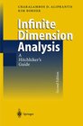 Buchcover Infinite Dimensional Analysis