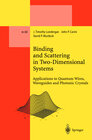 Buchcover Binding and Scattering in Two-Dimensional Systems