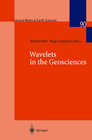 Buchcover Wavelets in the Geosciences