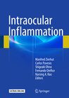 Buchcover Intraocular Inflammation