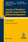 Buchcover Calculus of Variations and Nonlinear Partial Differential Equations