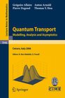 Buchcover Quantum Transport