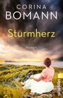 Buchcover Sturmherz