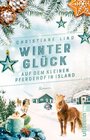 Buchcover Winterglück auf dem kleinen Pferdehof in Island