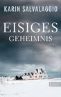 Buchcover Eisiges Geheimnis