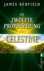 Buchcover Die zwölfte Prophezeiung von Celestine (Die Prophezeiungen von Celestine 4)