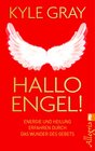 Buchcover Hallo Engel!