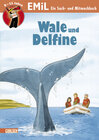Buchcover Sach- und Mitmachbuch: Wale und Delfine