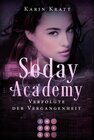 Buchcover Verfolgte der Vergangenheit (Seday Academy 8)