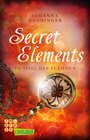 Buchcover Secret Elements 4: Im Spiel der Flammen