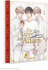 Buchcover Die Rippe des Adam Luxus Edition