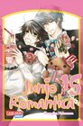 Buchcover Junjo Romantica 15