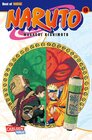 Buchcover Naruto 15