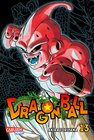 Buchcover Dragon Ball Massiv 13