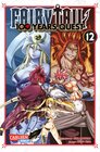 Buchcover Fairy Tail – 100 Years Quest 12