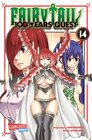 Buchcover Fairy Tail – 100 Years Quest 14