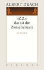 Buchcover "Z.Z." das ist die Zwischenzeit