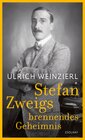 Buchcover Stefan Zweigs brennendes Geheimnis
