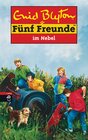 Buchcover Fünf Freunde im Nebel