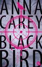 Buchcover Blackbird