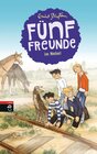 Buchcover Fünf Freunde im Nebel