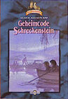 Buchcover Burg Schreckenstein / Geheimcode Schreckenstein